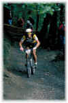 spa4.JPG (48407 Byte)