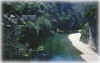 Lozere06.JPG (69426 Byte)