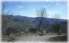 Lozere17.JPG (68207 Byte)