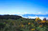 1_Alpe_di_Poti.jpg (76551 Byte)