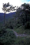 2_Umbrien3.jpg (68872 Byte)