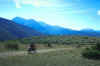 3_zur_Piana_Castellucio2.jpg (64562 Byte)