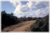 s7frattel.JPG (47505 Byte)