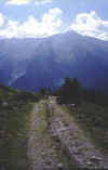 AlpenX2003 022.JPG (66960 Byte)
