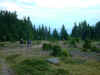 PICT1756.JPG (60874 Byte)