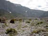 PICT2839.jpg (74678 Byte)