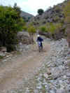 PICT2843.jpg (128634 Byte)