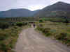 PICT2847.jpg (53178 Byte)