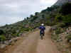 PICT2850.jpg (61941 Byte)