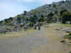 PICT2855.jpg (68819 Byte)