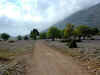 PICT2873.jpg (60972 Byte)