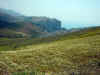 PICT2907.jpg (84788 Byte)