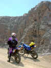PICT2913.jpg (117335 Byte)