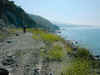 PICT2928.jpg (75188 Byte)