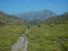 PICT2932.jpg (56887 Byte)