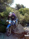 PICT2935.jpg (127078 Byte)