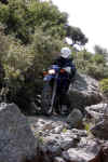 PIC_0025.jpg (187784 Byte)