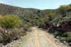 PIC_0055.jpg (72863 Byte)