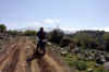 PIC_0056.jpg (46700 Byte)